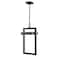Z-Lite Luttrel 1 Light Outdoor Chain Mount Ceiling Fixture, Black & Frosted 566CHB-BK-LED - alternate 2